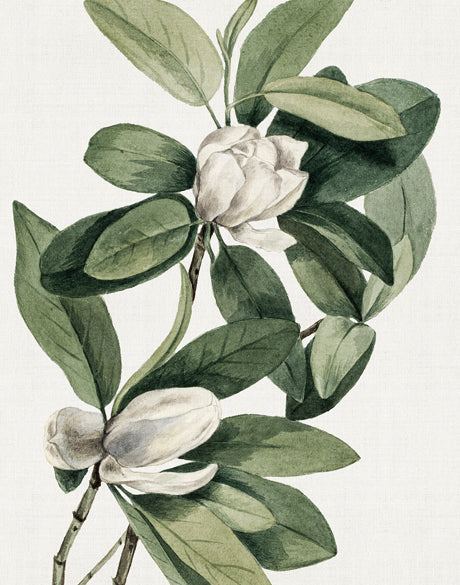 Phillipson Floral IV