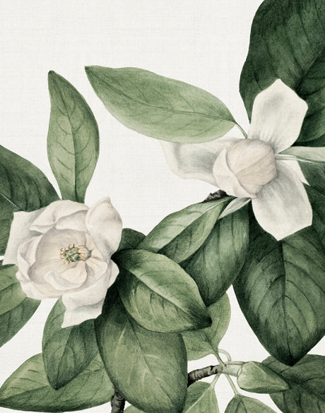Phillipson Floral VI