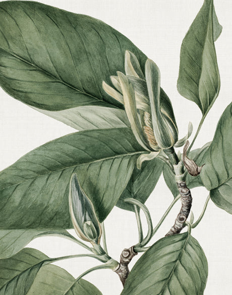 Phillipson Floral VII