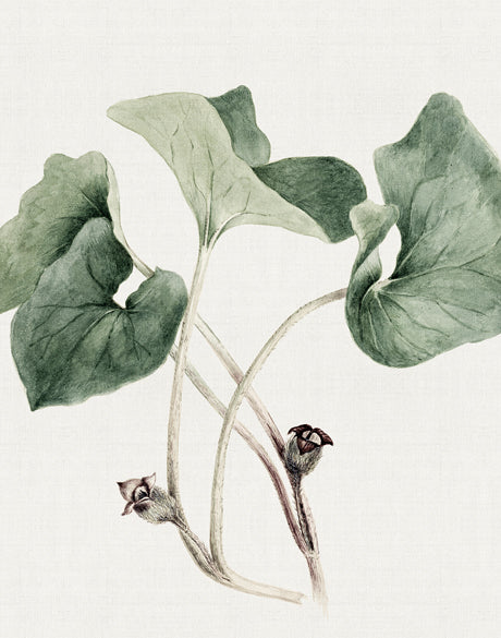 Phillipson Floral IX