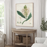 plant01-c_2