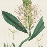 plant01_3