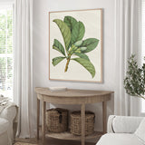 plant02-c_2