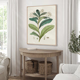plant04-c_2