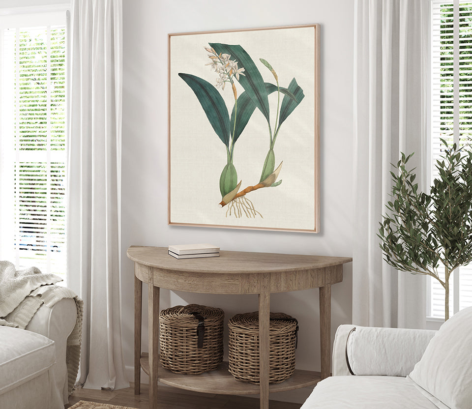 Exotic Garden V (Canvas)