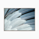 plume01-c-l_4