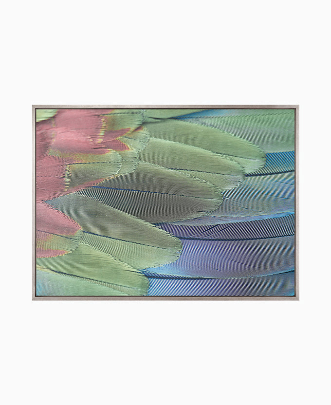 La Plume II (Canvas)