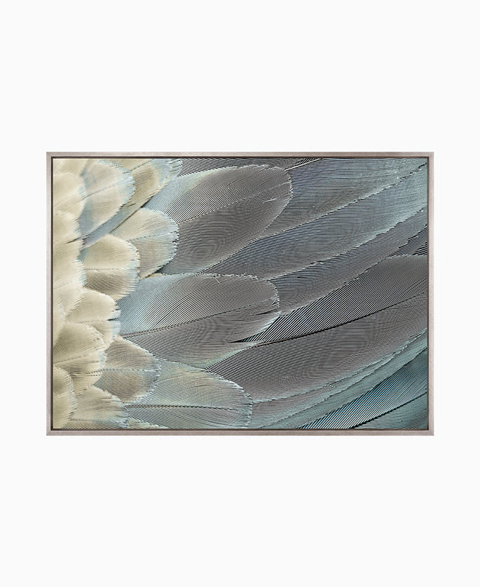 La Plume IV (Canvas)