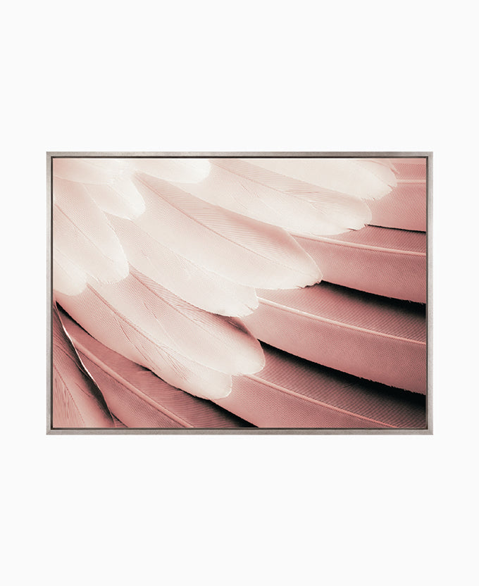 La Plume V (Canvas)