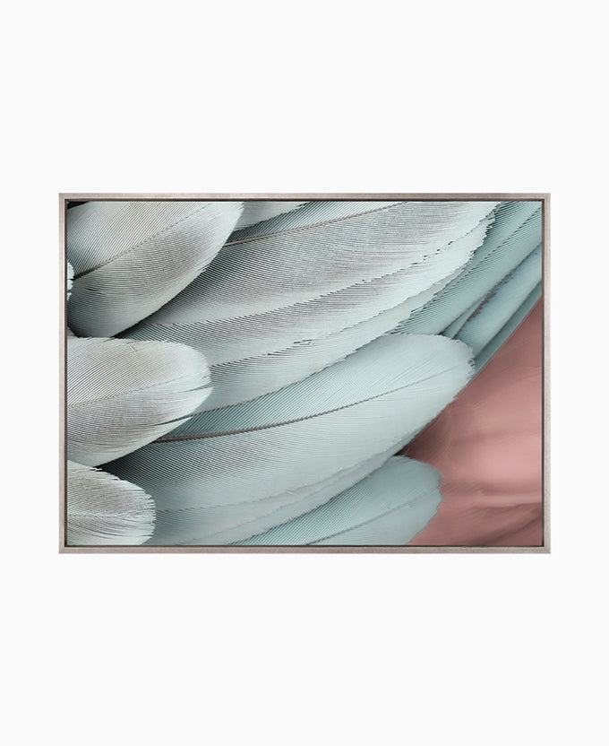 La Plume VI (Canvas)