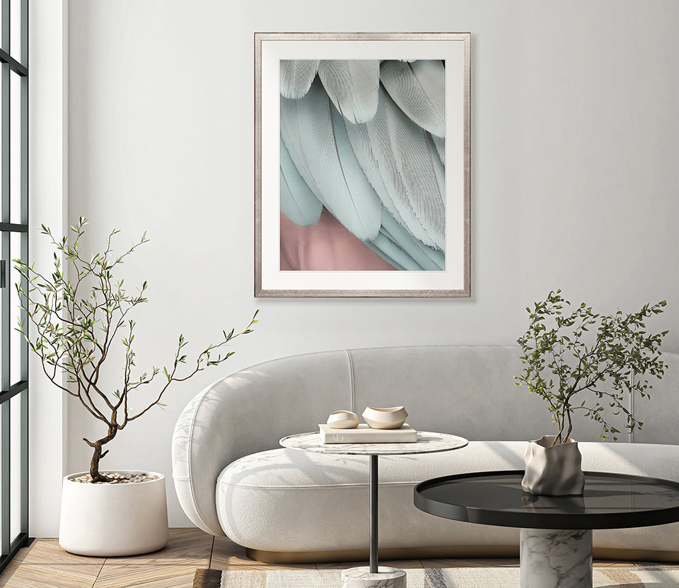 La Plume VI