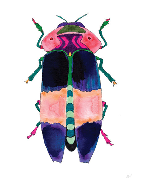 Rosselli Beetle I (Canvas)