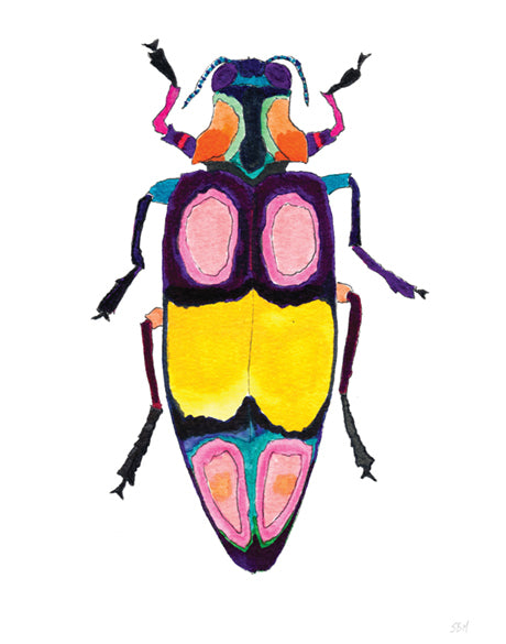 Rosselli Beetle II