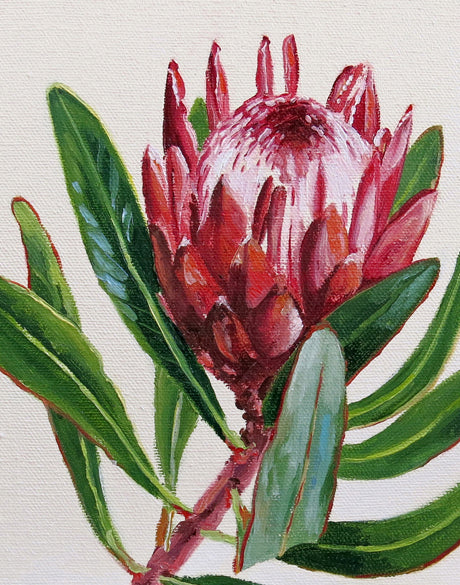Australian Native I