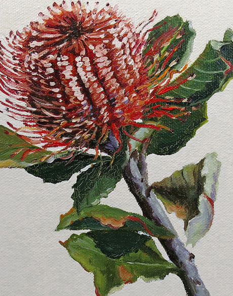 Australian Native IV