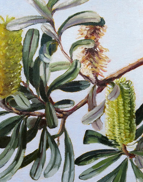 Australian Native VI