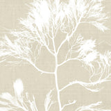 sanu01-c-l_3