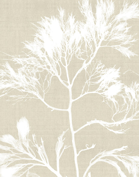 Seaweed Harmony I (Canvas)