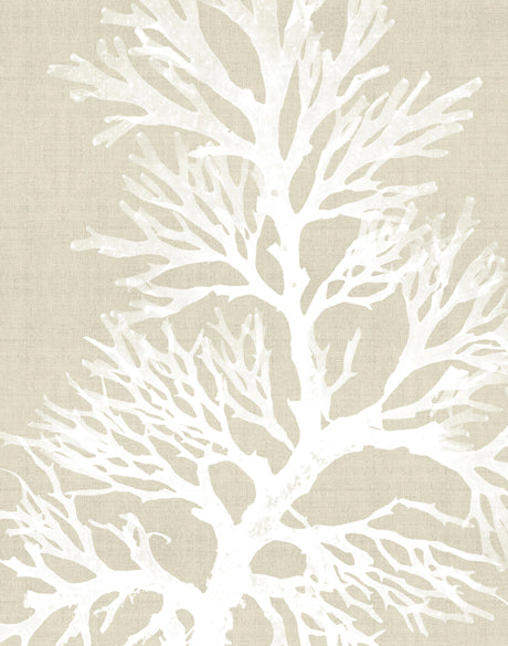Seaweed Harmony II