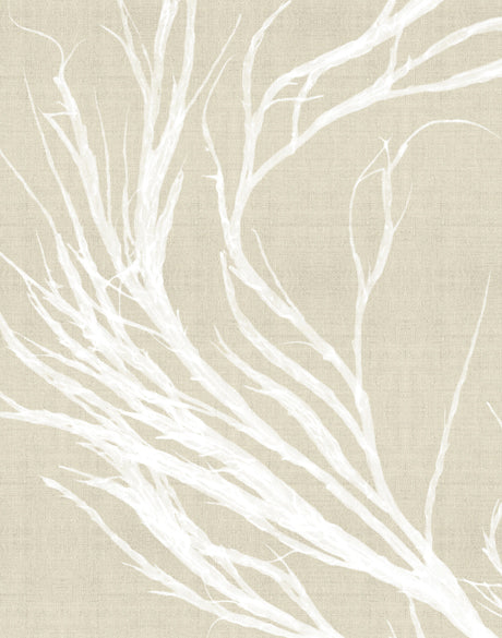Seaweed Harmony IV