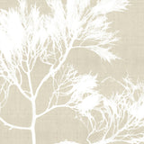 sanu05-c-l_3