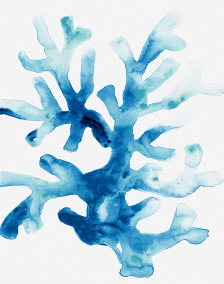 Sea Life I