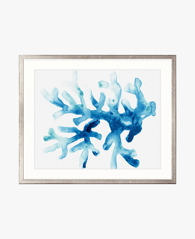 Sea Life I