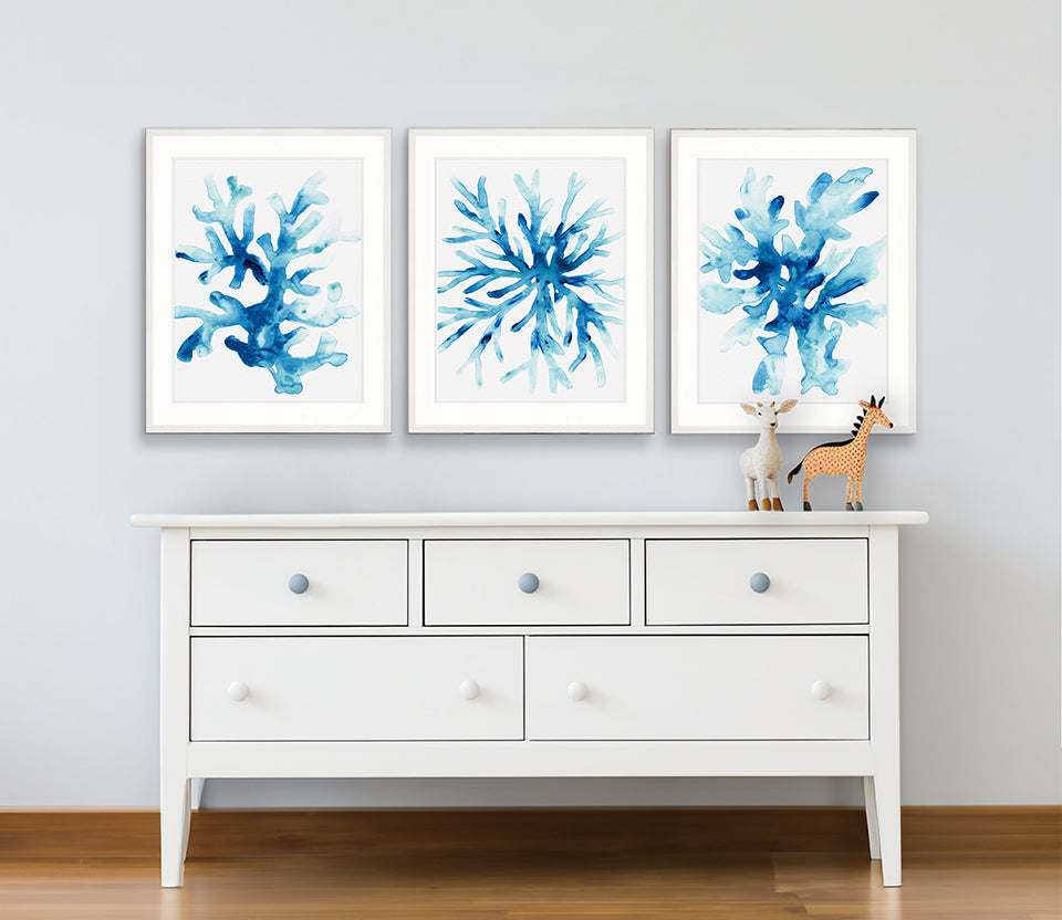 Sea Life II