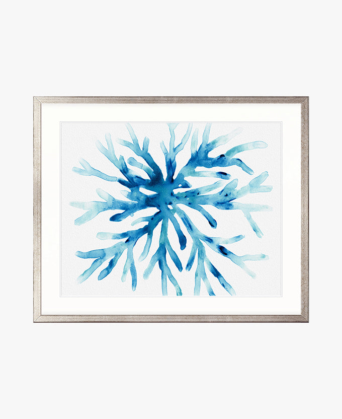 Sea Life II