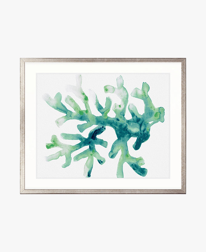 Sea Life IV