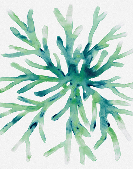 Sea Life V
