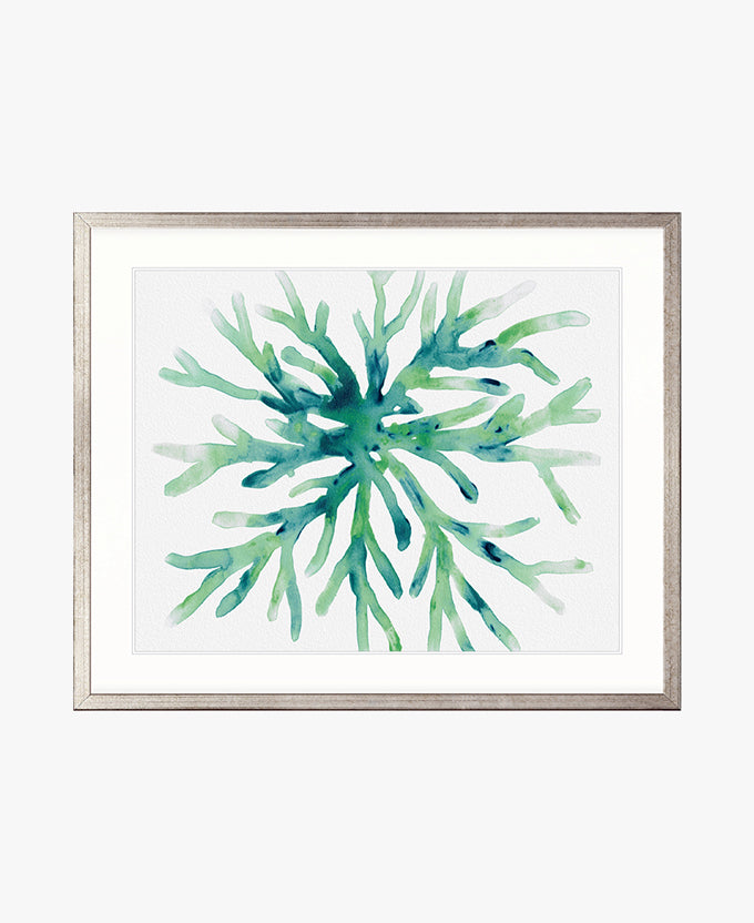Sea Life V