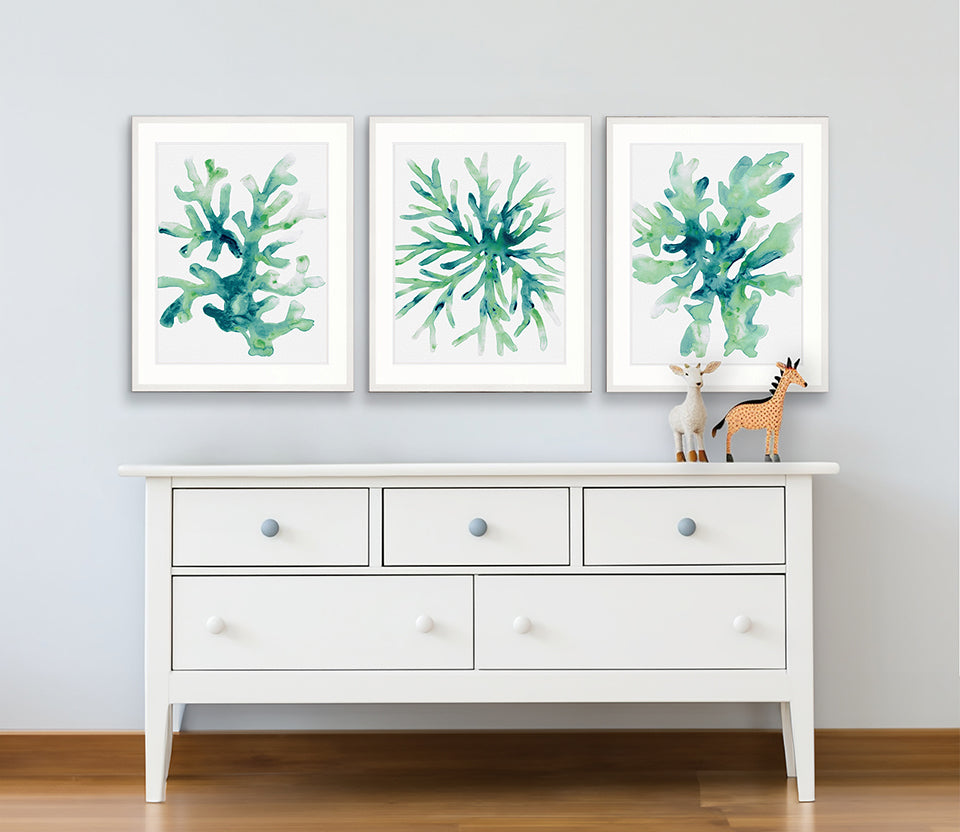 Sea Life VI
