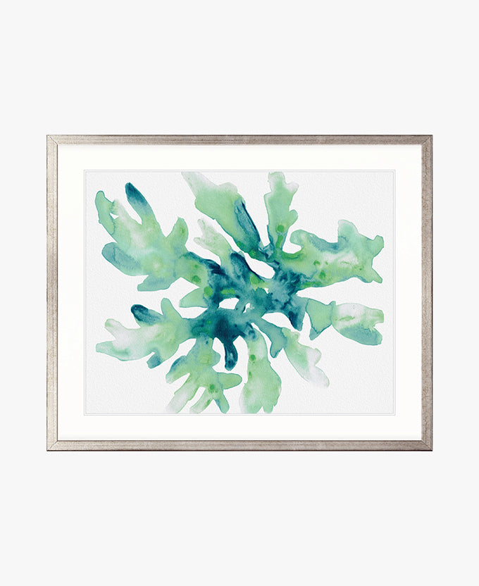 Sea Life VI