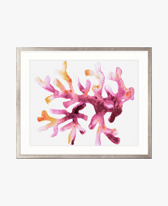 Sea Life VII