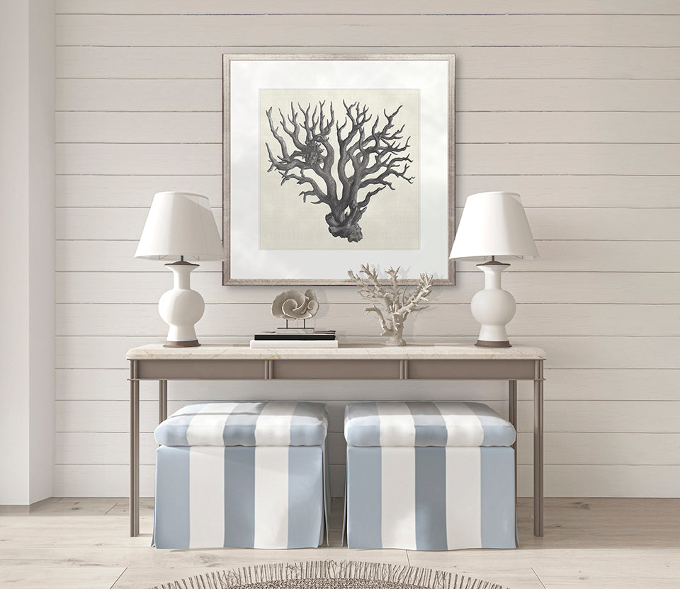 Natural Coral IV