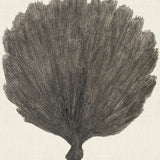 seba06_3