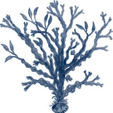 seba07_3
