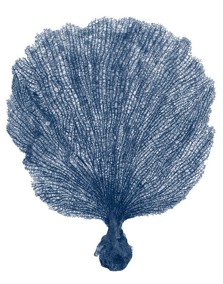Natural Coral VIII (Indigo)