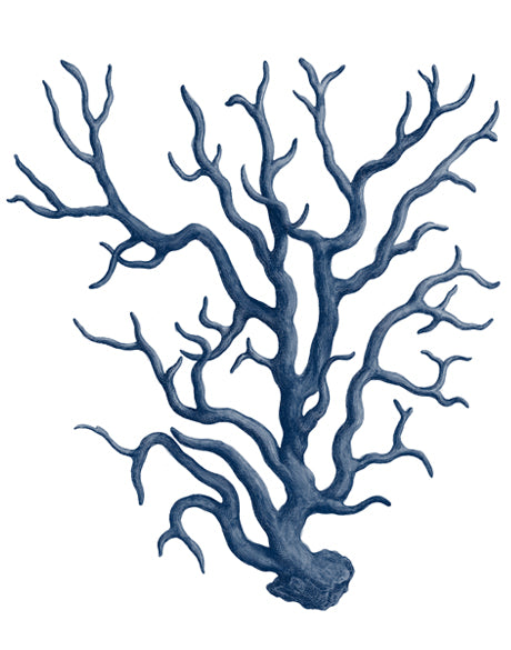 z. Natural Coral IX (Indigo)