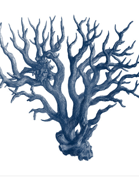 Natural Coral X (Indigo)