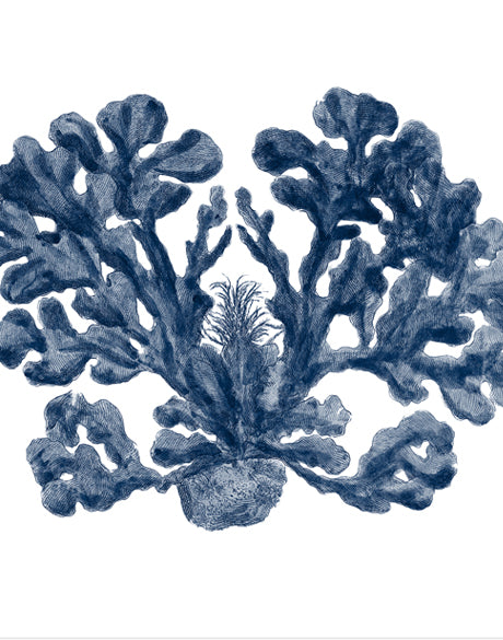 Natural Coral XI (Indigo)