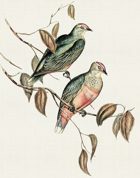 Shildon Birds I