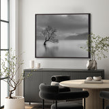 sile01-c-l_2