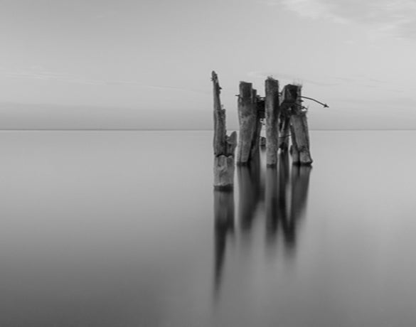 Nature Whisper II