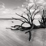 sile03_3
