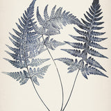 sinc01_3