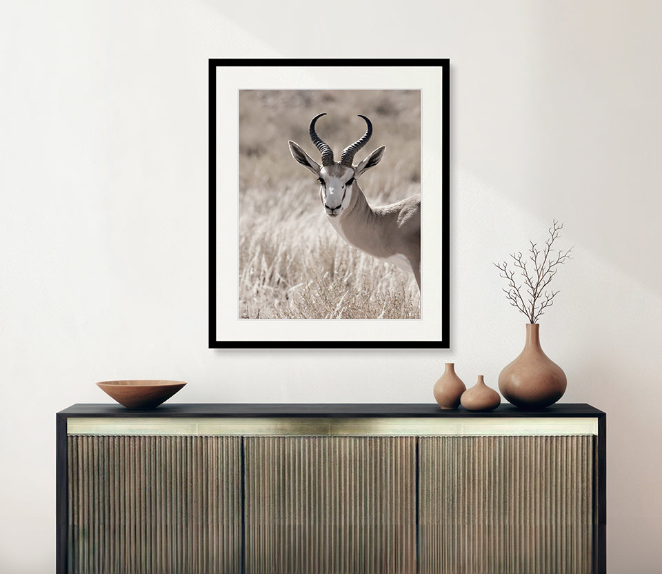 Wild Safari I