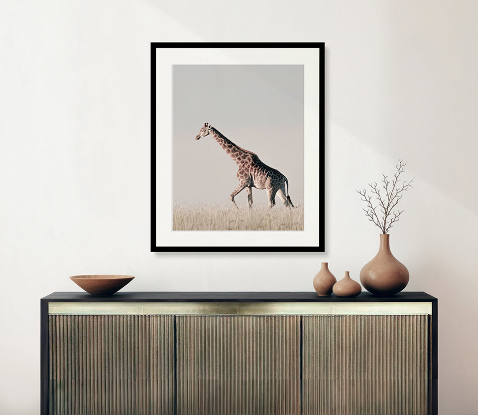 Wild Safari II