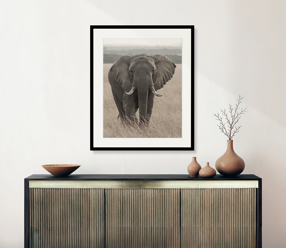 Wild Safari III